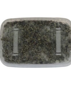 Cambodian Magic Mushrooms Grow Kit GetMagic