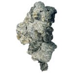 Besondere „Half Oz“-Zauberpilze