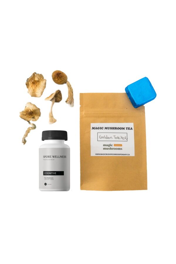 Magic Mushroom Kit für Einsteiger: Psych 101 – Eine Einführung in Psychedelika