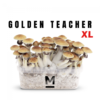Zauberpilz-Zuchtset Golden Teacher XL von Mondo®