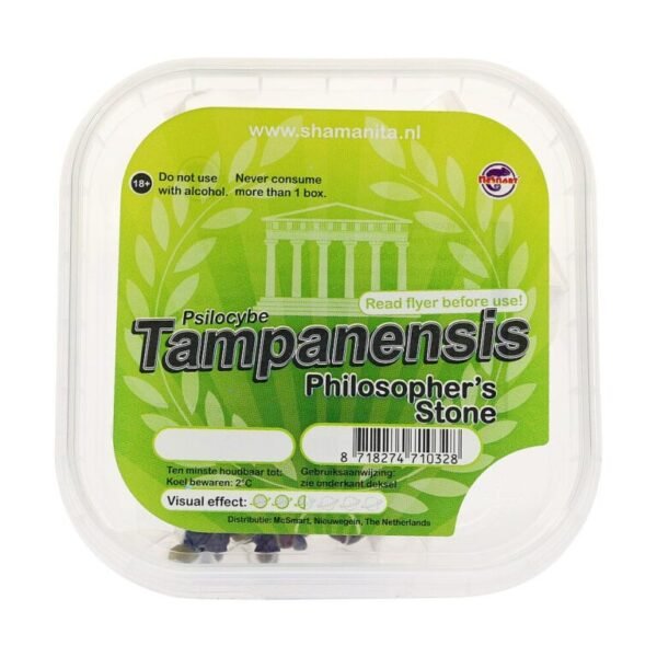 Zaubertrüffel Tampanensis