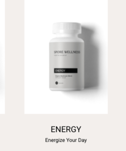 Spore Wellness Mikrodosierungs-Pilzkapseln – Das Mikropaket (kognitiv, energiereich und immun)