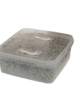 Mazatapec Magic Mushrooms Zuchtset XL GetMagic